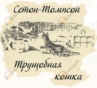 Трущобная кошка