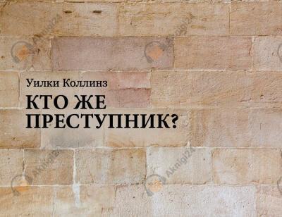 Кто же преступник?