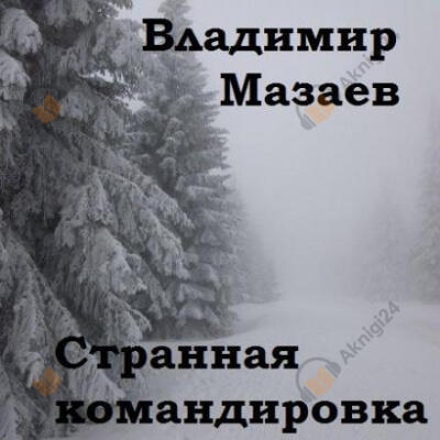 Странная командировка