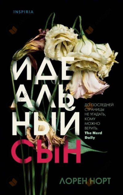 Идеальный сын