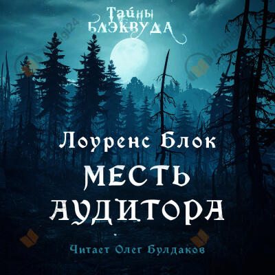 Месть аудитора