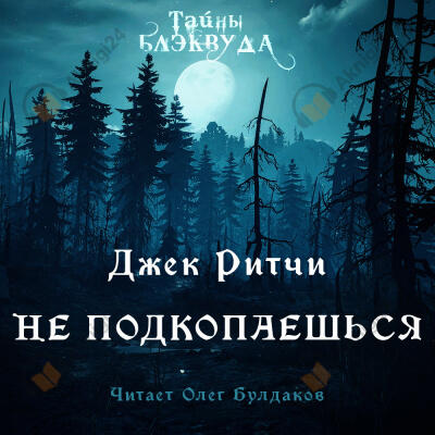 Не подкопаешься