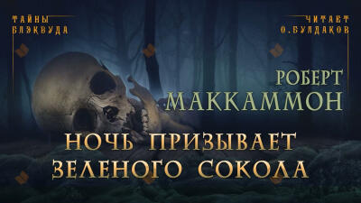 Ночь призывает зеленого сокола