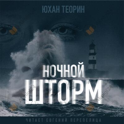 Ночной шторм