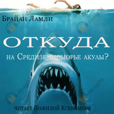 Откуда на Средиземноморье акулы?