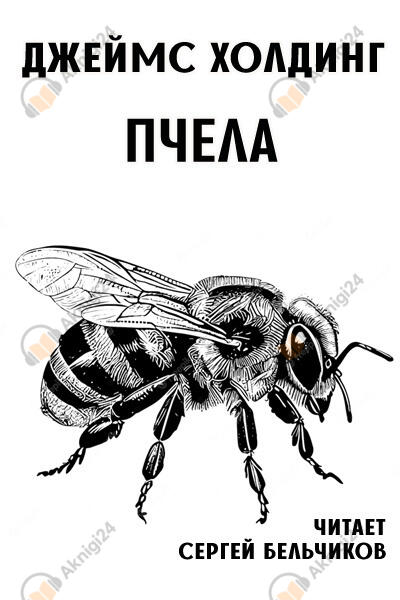 Пчела