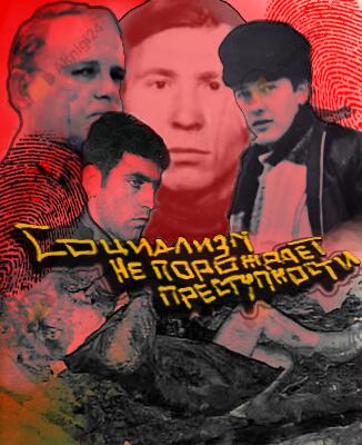 Социализм не порождает преступности... (серийная преступность в СССР: попытка историко-криминалистического анализа)
