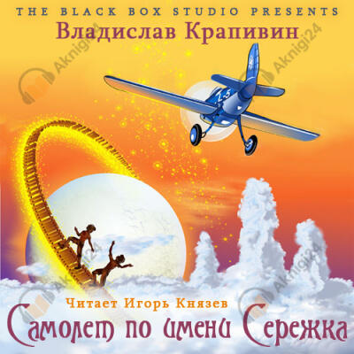 Самолёт по имени Серёжка