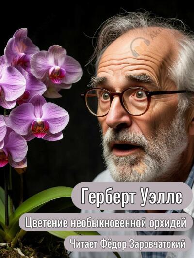 Цветение необыкновенной орхидеи