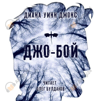 Джо-бой