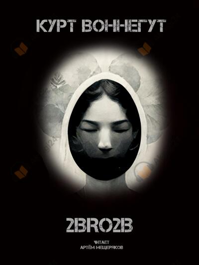 2BRO2B