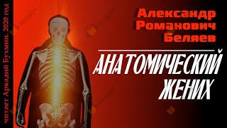 Анатомический жених