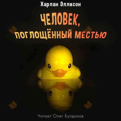 Человек, поглощённый местью