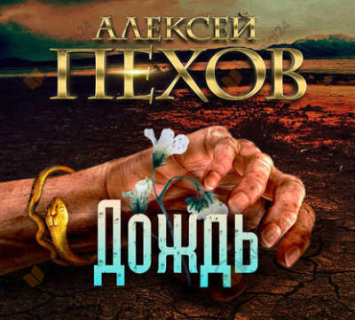 Дождь