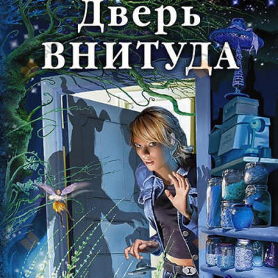 Дверь ВНИТУДА