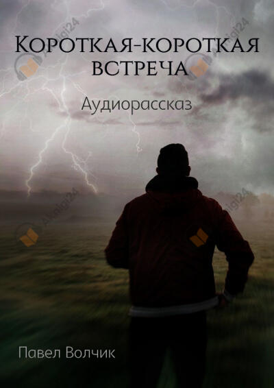 Короткая-короткая встреча