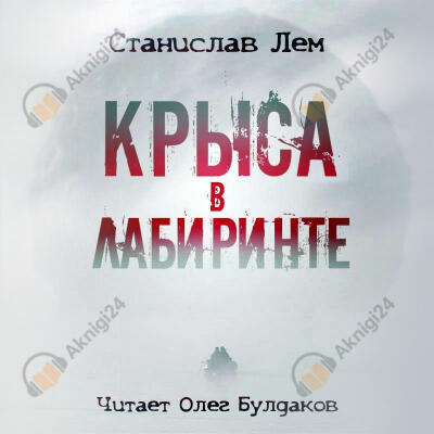 Крыса в лабиринте