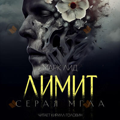 Лимит. Серая мгла