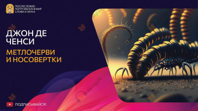 Метлочерви и носовертки