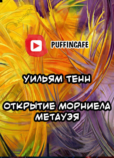 Открытие Морниела Метауэя