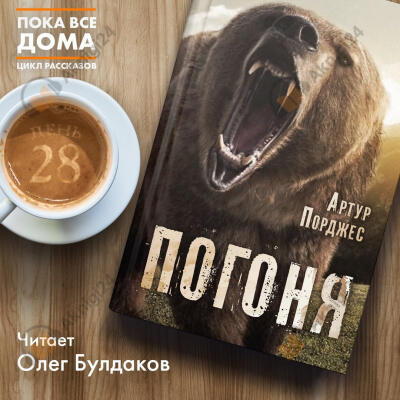 Погоня