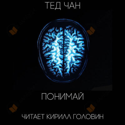 Понимай