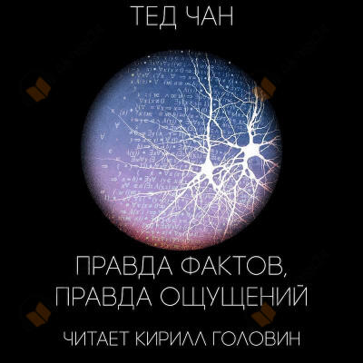 Правда фактов, правда ощущений