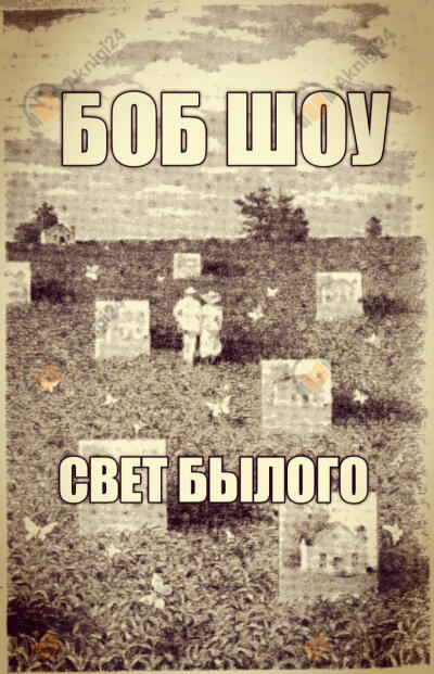 Свет былого