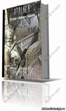 Свое решение (S.T.A.L.K.E.R.)