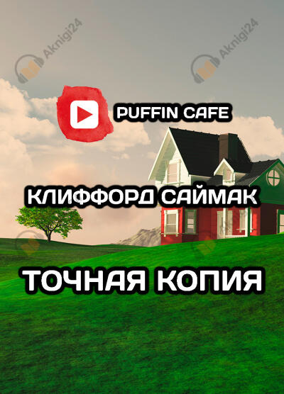 Точная копия