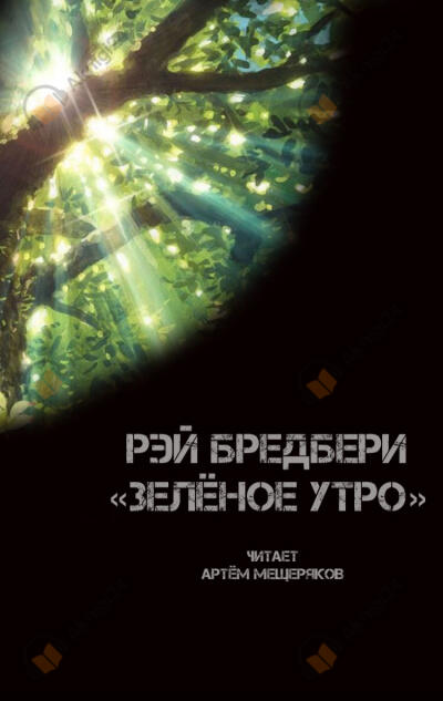 Зелёное утро