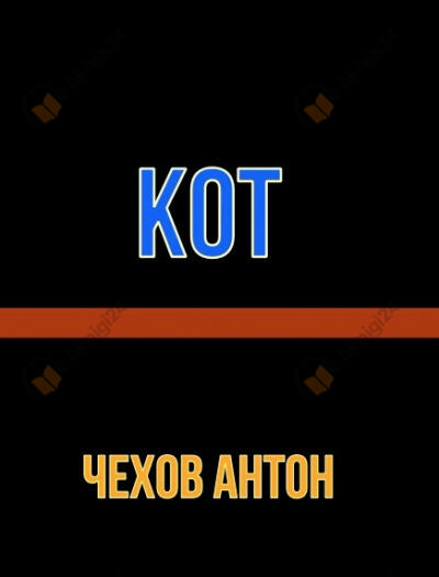 Кот