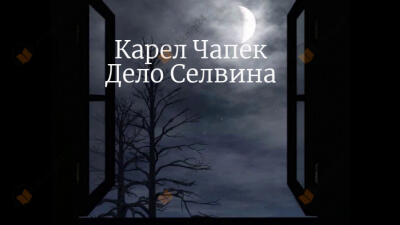 Дело Селвина