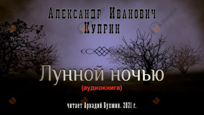 Лунной ночью