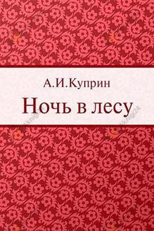 Ночь в лесу