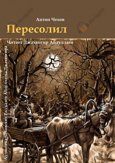Пересолил