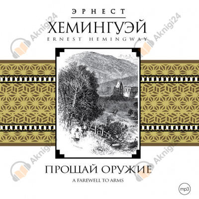 Прощай оружие