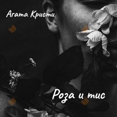 Роза и тис