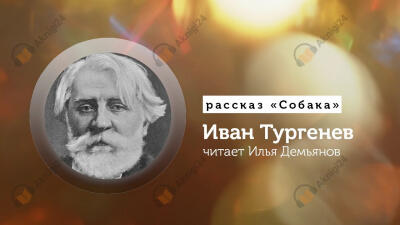 Собака