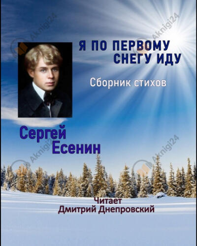 Я по первому снегу иду. Сборник стихов