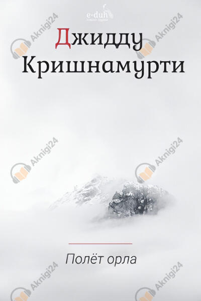 Полёт орла