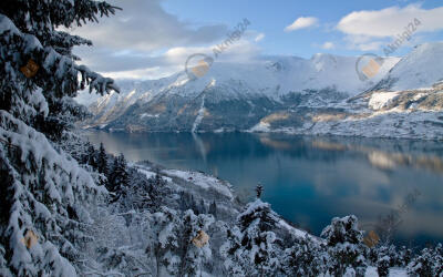 Апельсиновая девушка