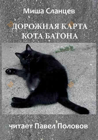 Дорожная карта кота Батона