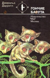 Гончие Бафута