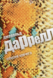 Юбилей ковчега