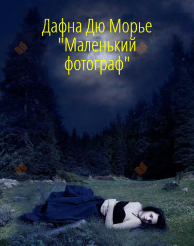 Маленький фотограф