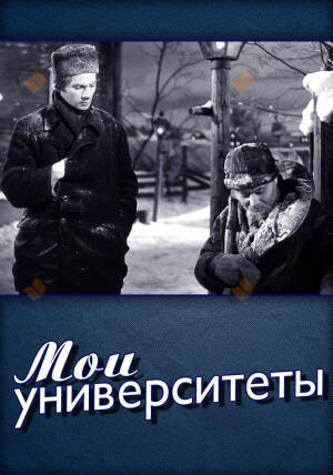 Мои университеты
