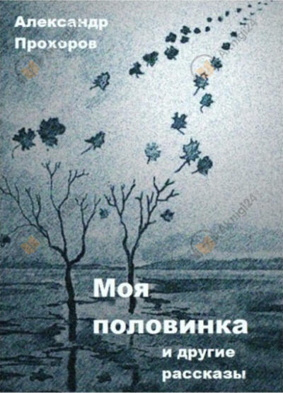 Моя половинка и другие рассказы