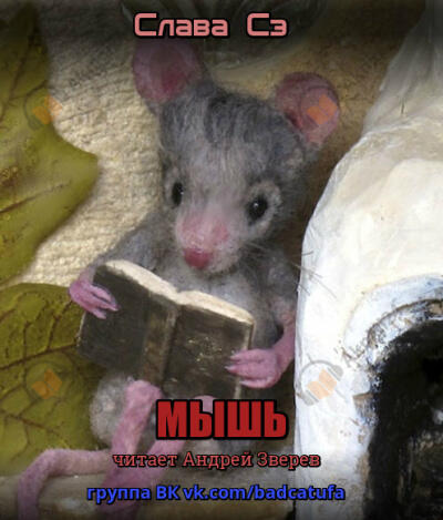 Мышь