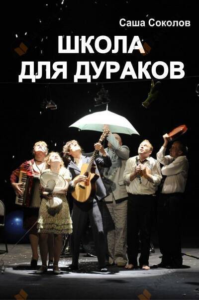 Школа для дураков